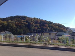 中野紅葉山