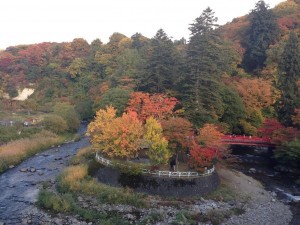 中野紅葉山