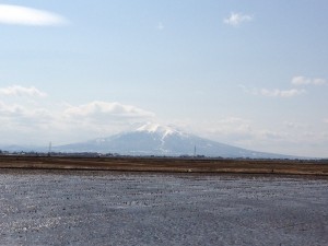 写真 2013-04-13 13 38 51