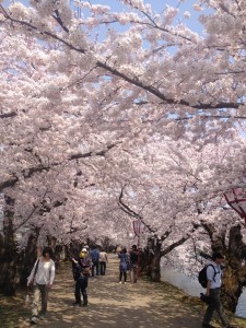 写真 2014-04-26 12 55 05
